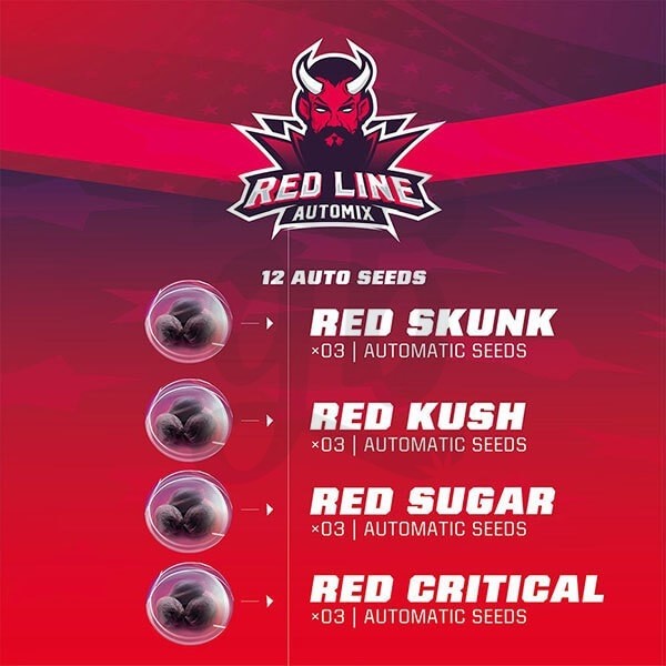 Pack semi Red Line Automix di BSF Seeds.