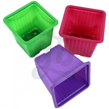 Macetas de colores de plástico cuadradas - Grow Barato