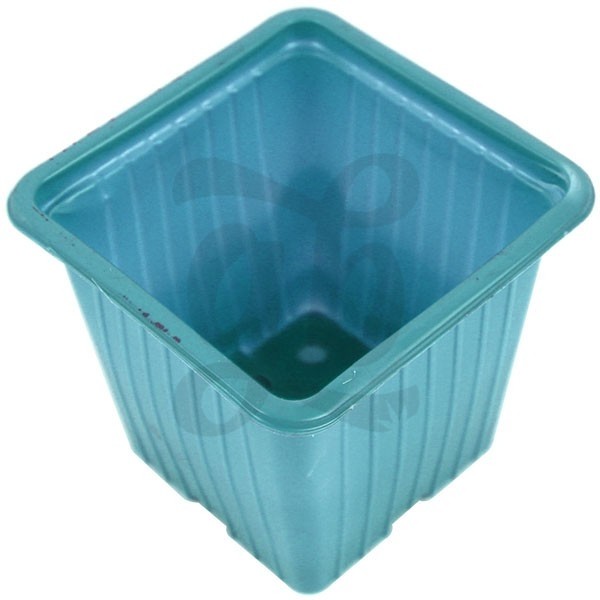 Square plastic small pots - Grow Barato