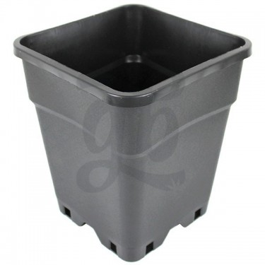 Pot quadrado aprimorado para carros e mães - Crescer Barato