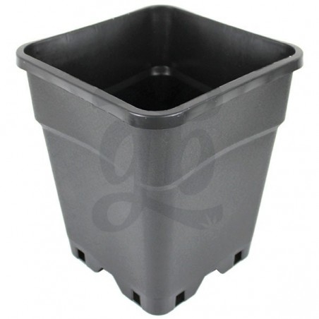 Reinforced Square Pots for Autoflowering - GB