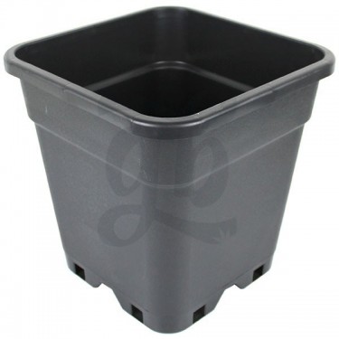 Reinforced Square Pots for Autoflowering - GB