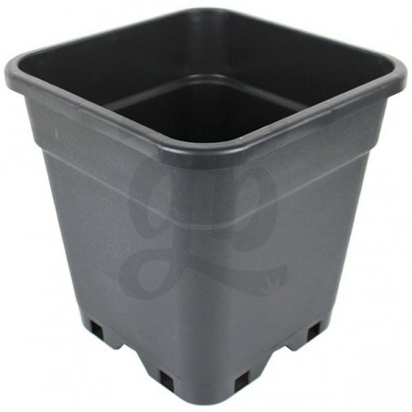 Reinforced Square Pots for Autoflowering - GB