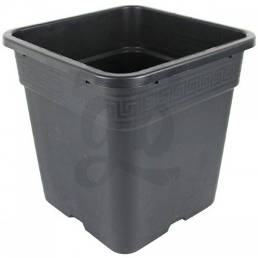 Pot quadrado aprimorado para carros e mães - Crescer Barato