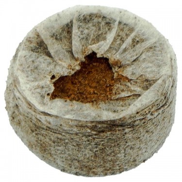 Comprar Jiffy7 Coco 35mm - GB The Green Brand