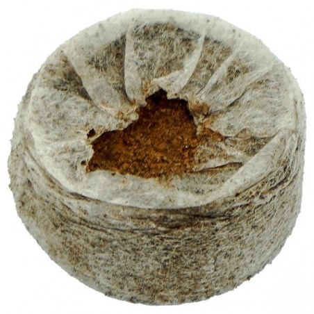 Comprar Jiffy7 Coco 35mm - GB The Green Brand Comprar Jiffy7 Coco 35mm - GB The Green Brand