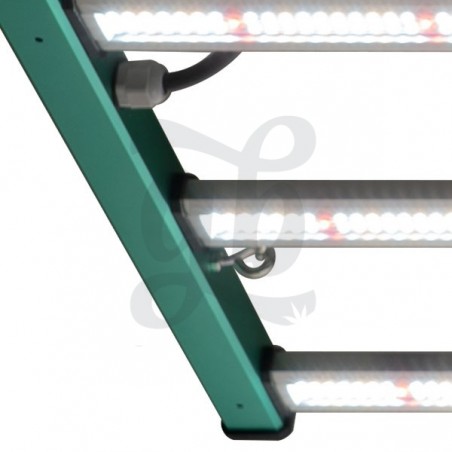 Buy GB Lighting 630W Pro LED Lights - GB