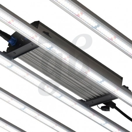 Buy GB Lighting 630W Pro LED Lights - GB