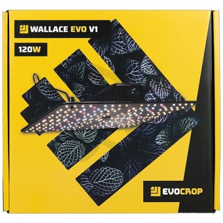 Led Wallace V1 120W Panel front box