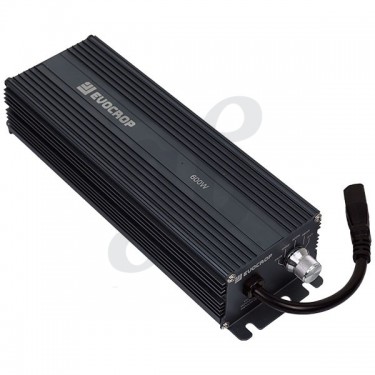Lamarck 600W Ballast