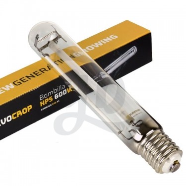 Kit d'éclairage Lamarck 600 W - ampoule