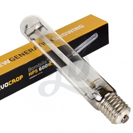 Kit d'éclairage Lamarck 600 W - ampoule
