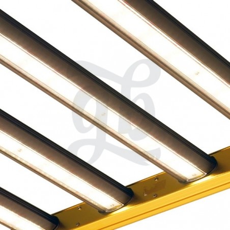 Kit Darwin V1 LED Evocrop da 650W - GB The Green Brand