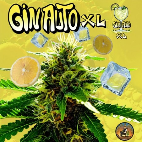 Gin Auto XL de Terreta of Growers - GB The Green Brand Gin Auto XL de Terreta of Growers - GB The Green Brand