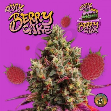 Pink Berry Cake de Terreta of Growers - GB The Green Brand
