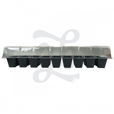 Kit de germinação GB com BAC de sementes X - GB