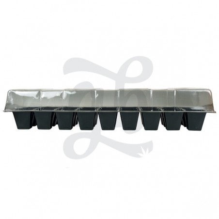 Kit de germinação GB com BAC de sementes X - GB