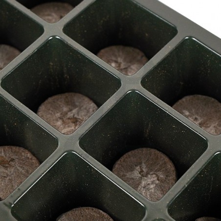Kit germination The Green Brand + X-seed de B.A.C. - GB