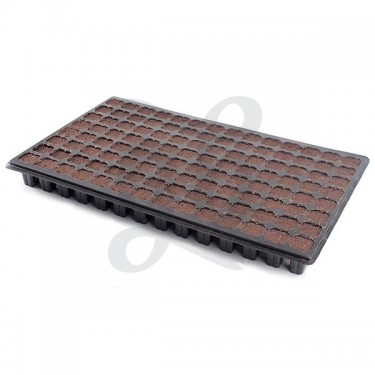 i-Clone rooting tray plug cubes - GB