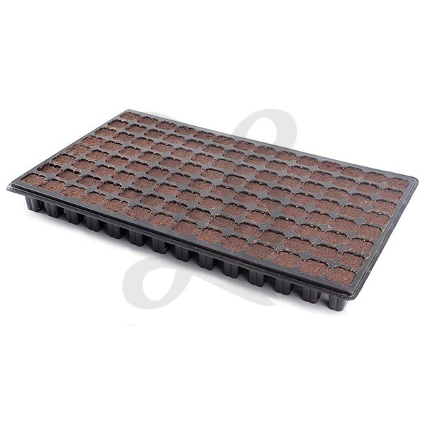 i-Clone rooting tray plug cubes - GB