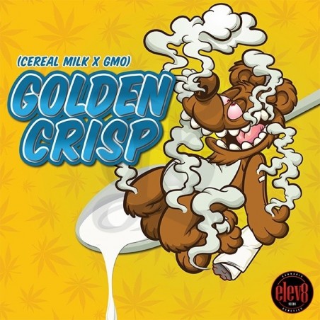 Golden Crisp semillas de Elev8 Seeds  - GB The Green Brand
