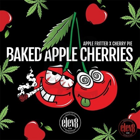 Baked Apple Cherries de Elev8 Seeds  - GB The Green Brand