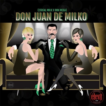 Don Juan de Milko de Elev8 Seeds - GB The Green Brand