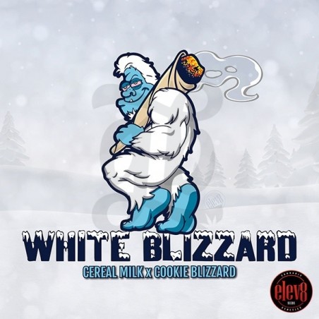 White Blizzard semillas de Elev8 Seeds  - GB The Green Brand