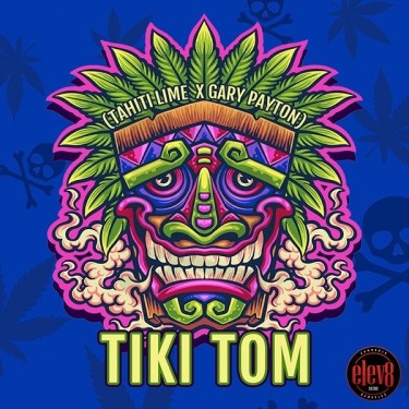 Tiki Tom semillas de Elev8 Seeds  - GB The Green Brand