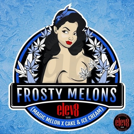 Frosty Melons semillas de Elev8 Seeds - GB The Green Brand