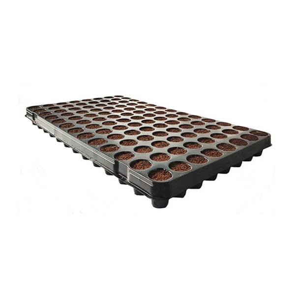 Coco Plug-in Tray 104 Alveoli