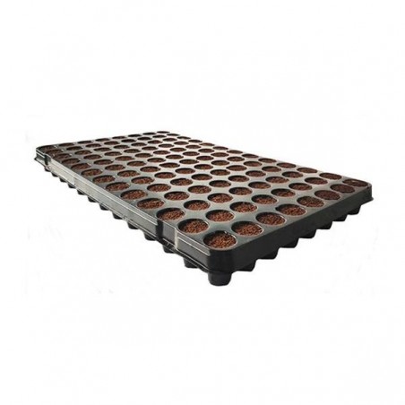 Coco Plug-in Tray 104 Alveoli Coco Plug-in Tray 104 Alveoli