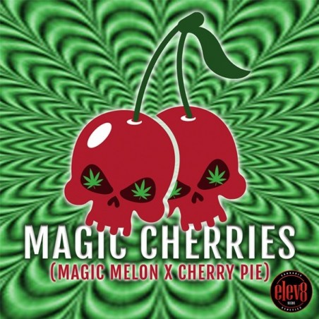 Magic Cherries Magic Cherries