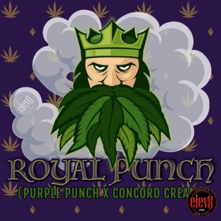 Royal Punch Royal Punch