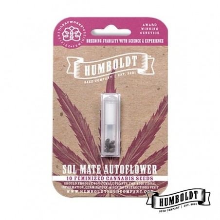 Sol Mate Auto de Humboldt Seeds - GB The Green Brand Sol Mate Auto de Humboldt Seeds - GB The Green Brand
