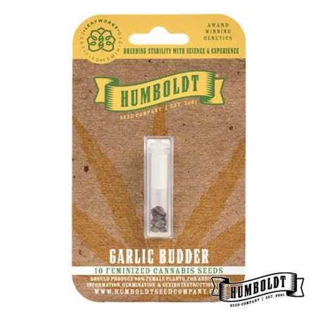 Garlic Budder Humboldt Seeds Company Garlic Budder Humboldt Seeds Company