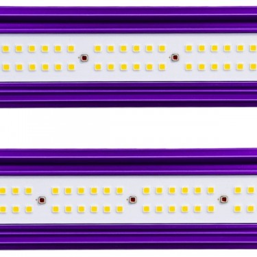 Sistema LED Zeus Lumatek Pro led