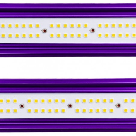 Sistema LED Zeus Lumatek Pro led