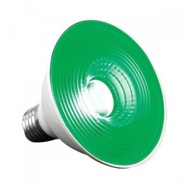 Ampoule Dark Night 20 W Agrolite verte