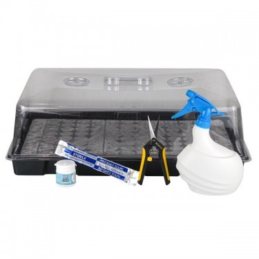 Kit para esquejes Boom Nutrients