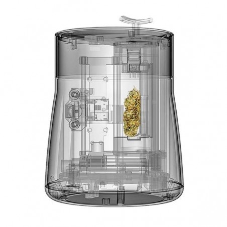 Analisador de canabinóide interno Gemmacert Pro
