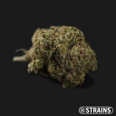 Blue Cheese Fast CBD