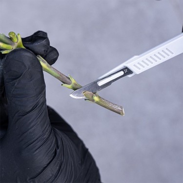 Poda GB Scalpel Kit