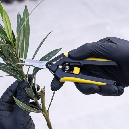 GB Pruning Kit V-Cut Curved Tip Scissors