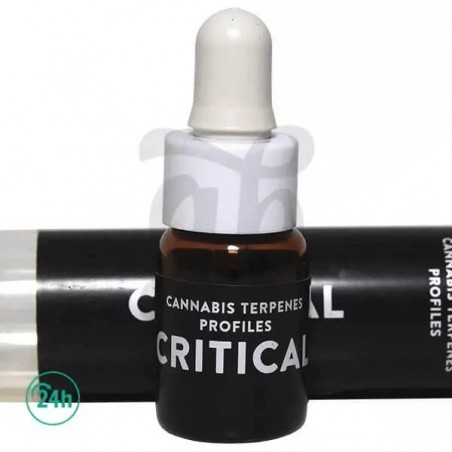 Critical Terpenes Critical Terpenes