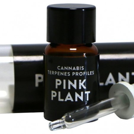 Terpenos Pink Plant Terpenos Pink Plant