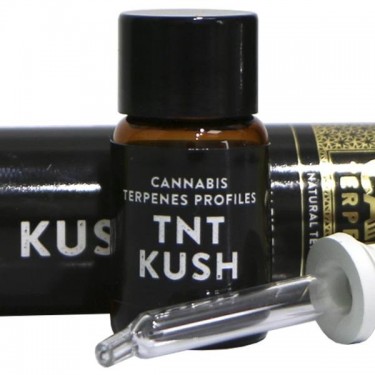 Terpenos TNT Kush