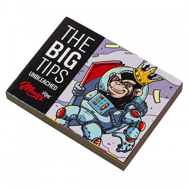 Big Tips Monkey King astronauta