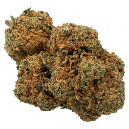Freeze Kit Flor
