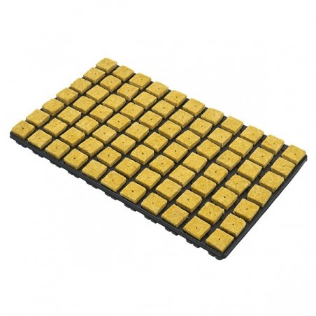Rockwool Cube Tray for Seeds and Clones - GB